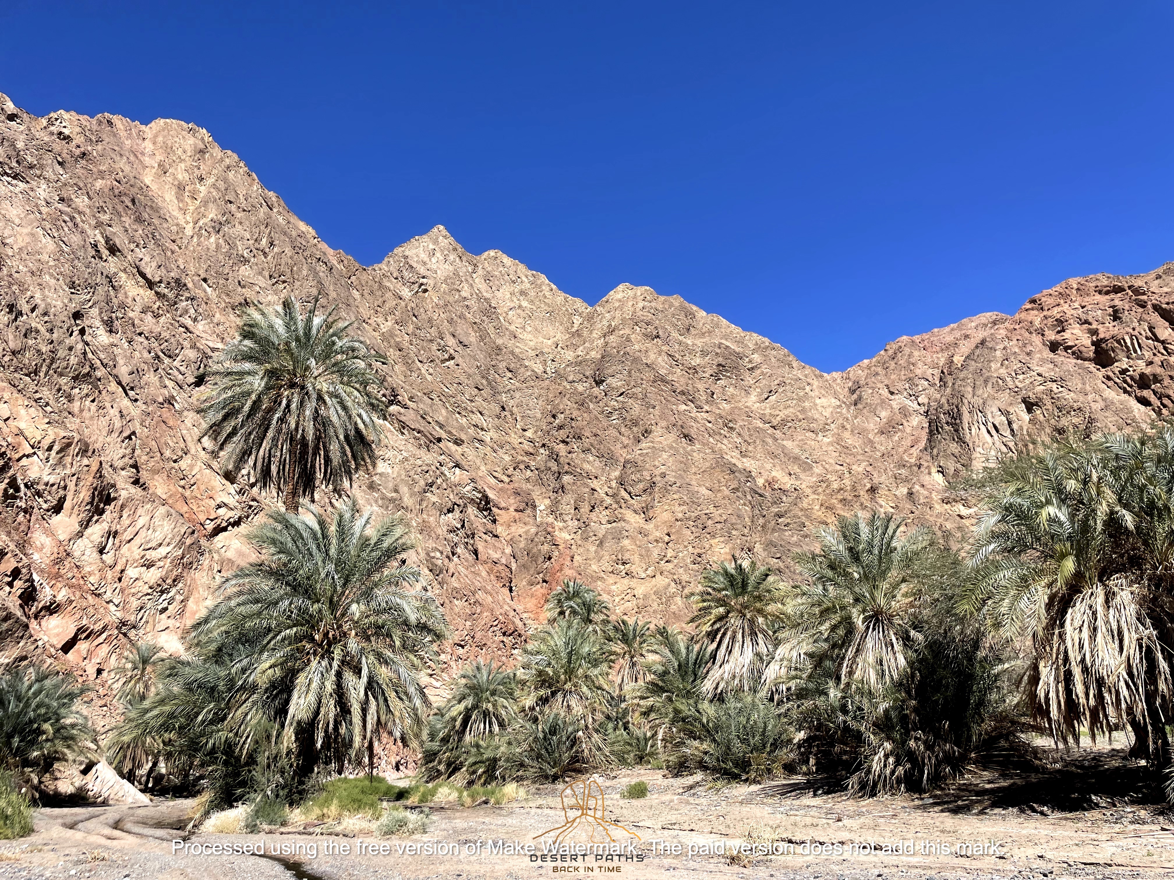 Elim Oasis Saudi Arabia.jpg