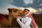 ARABIA